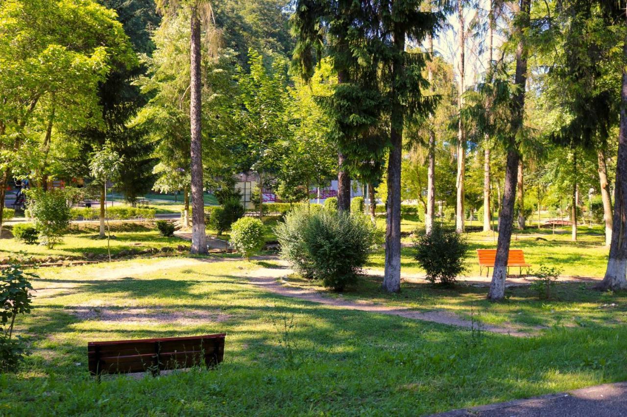 Apartament Iulia Geoagiu Bai Luaran gambar