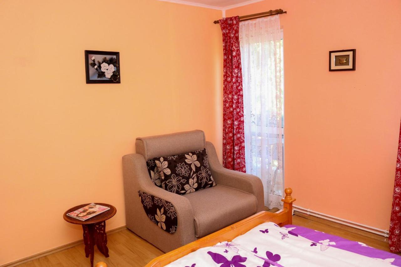 Apartament Iulia Geoagiu Bai Luaran gambar