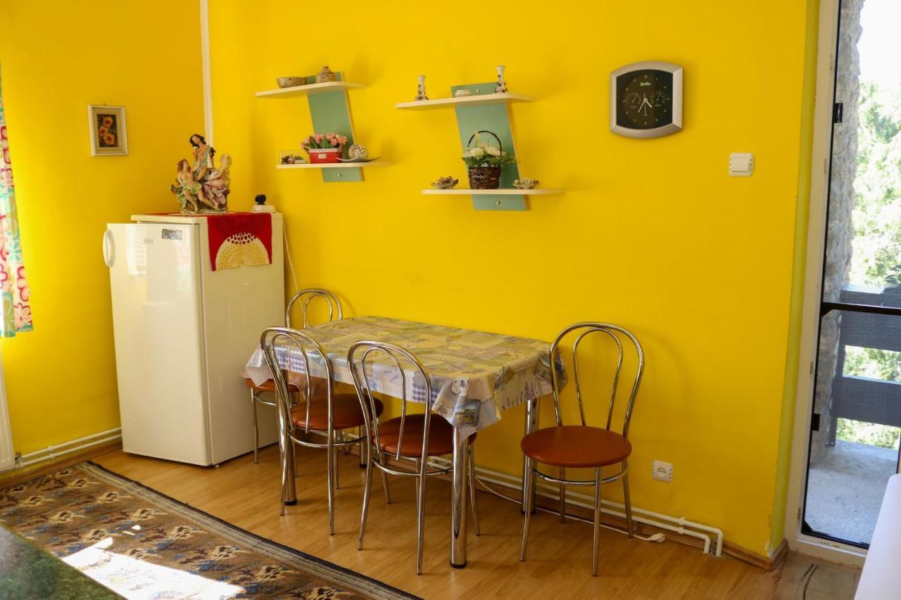 Apartament Iulia Geoagiu Bai Luaran gambar
