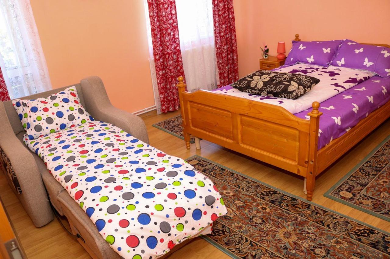 Apartament Iulia Geoagiu Bai Luaran gambar