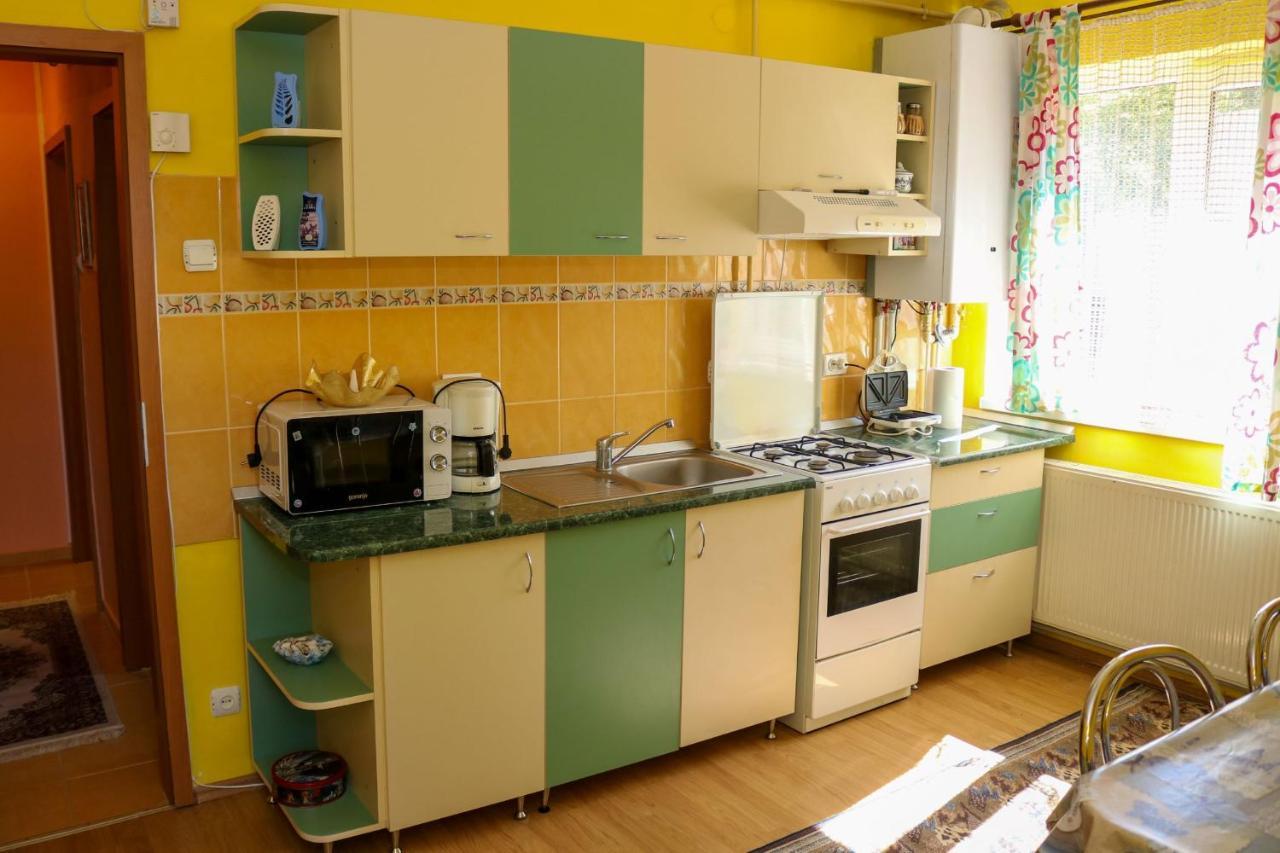 Apartament Iulia Geoagiu Bai Luaran gambar