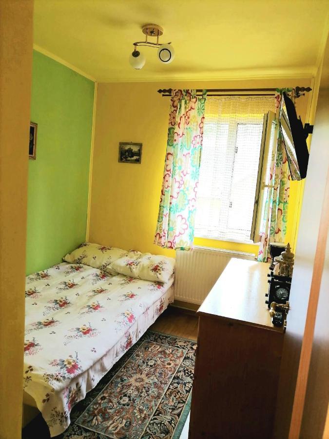 Apartament Iulia Geoagiu Bai Luaran gambar